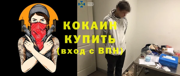 прущие грибы Карталы