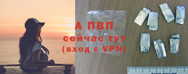 амф Касимов
