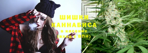 прущие грибы Карталы