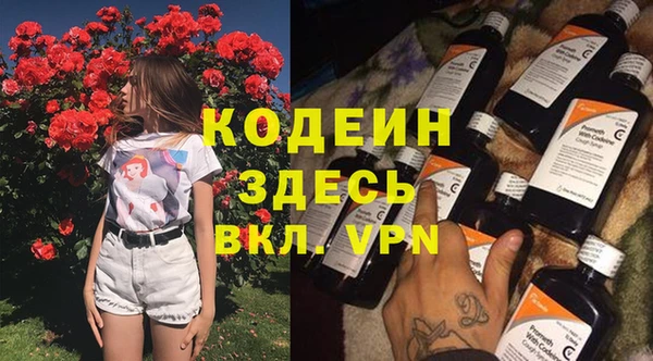 прущие грибы Карталы
