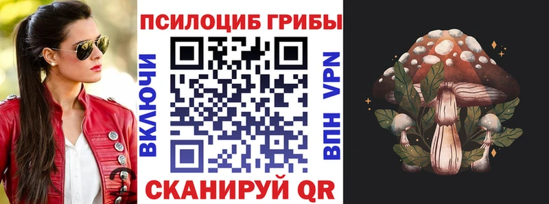 Псилоцибиновые грибы Psilocybe  Костерёво 