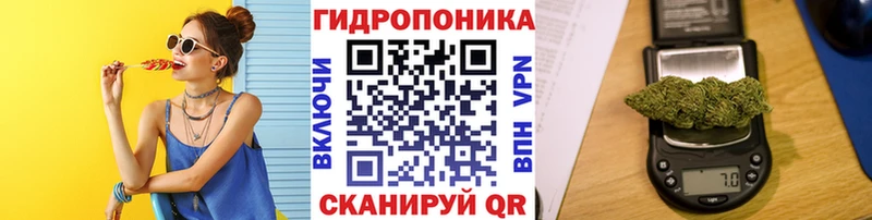 МАРИХУАНА ГИДРОПОН Костерёво